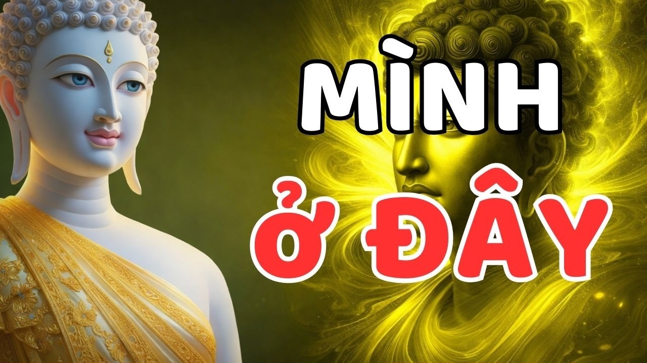 Ai Nói Gì Kệ Ai: Đừng Hơn Thua Nữa – Giữ Tâm Mình Yên, Đời Tự Nhẹ Phật Dạy An Nhiên