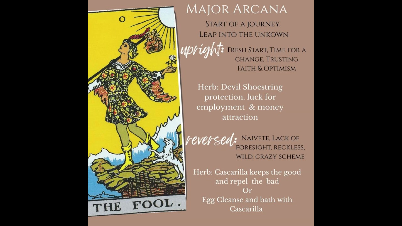 The Fool Card  #tarotlessons#herbmagick
