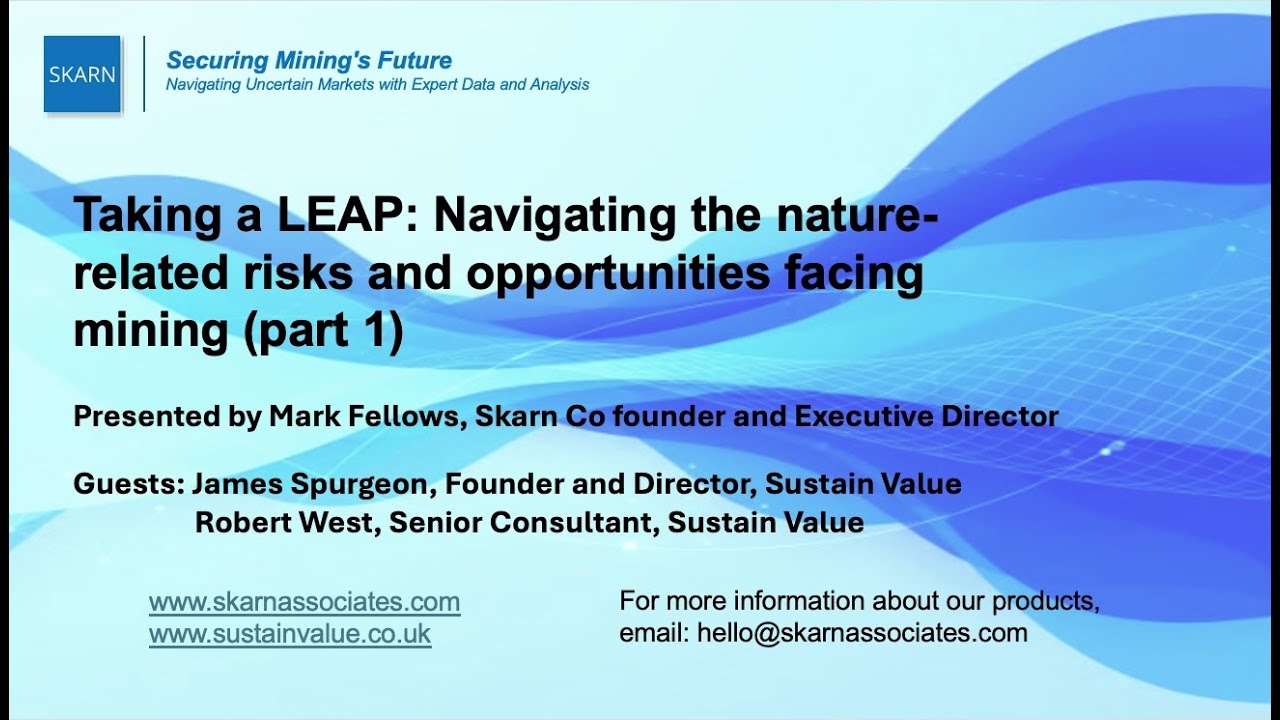 Taking a LEAP: Navigating the nature-related risks and opportunities facing mining (part1)