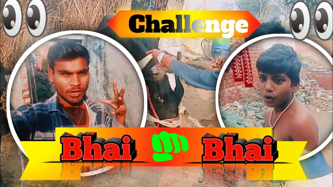 Bhai VS⚡ Bhai 👊 Challenge for your Brother // 