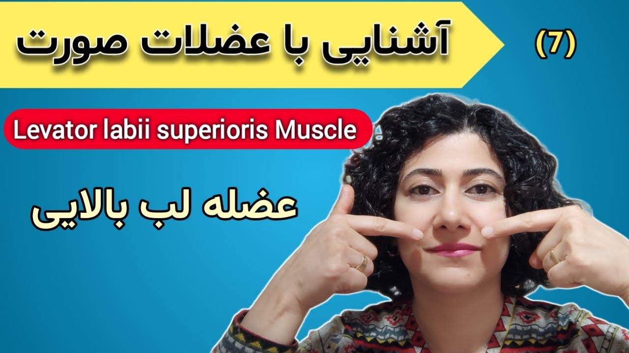 فرم‌دهی لب بالا بدون تزریق به همراه تمرین تخصصی / Levator Labii Superioris