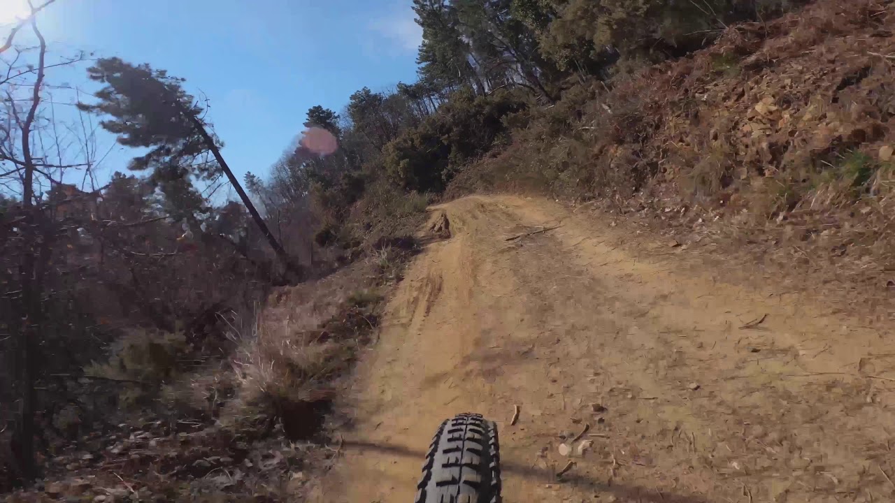Medicina, Bosco delle Fate, Collodi, Via della Fiaba, Pescia - E-Bike