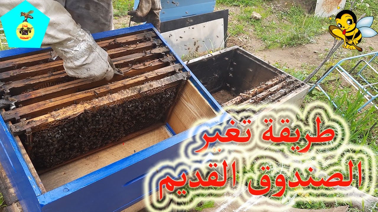 طريقة تغير صندوق الخلية القديم