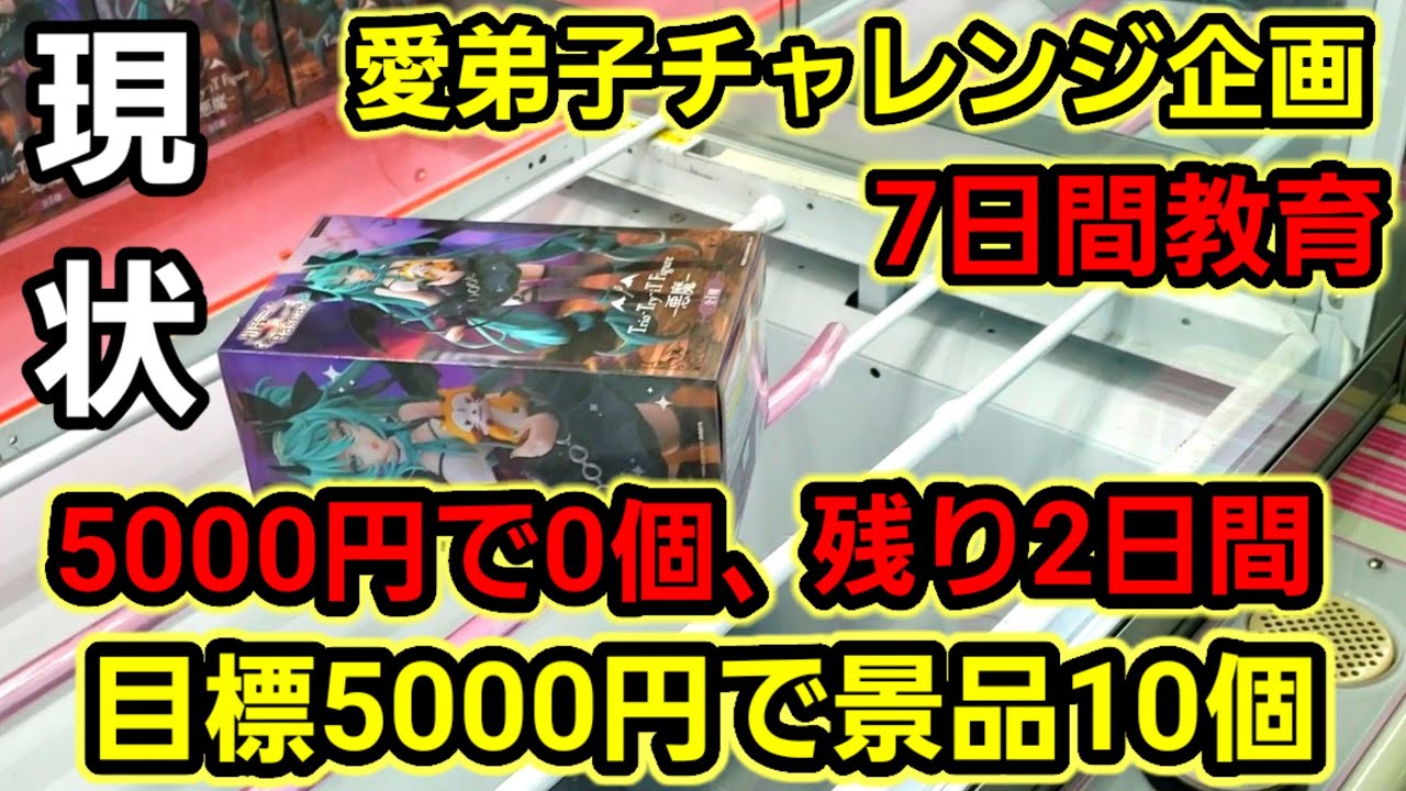 【趣味】超絶必見。観るだけでガチで上手くなる動画【クレーンゲーム】