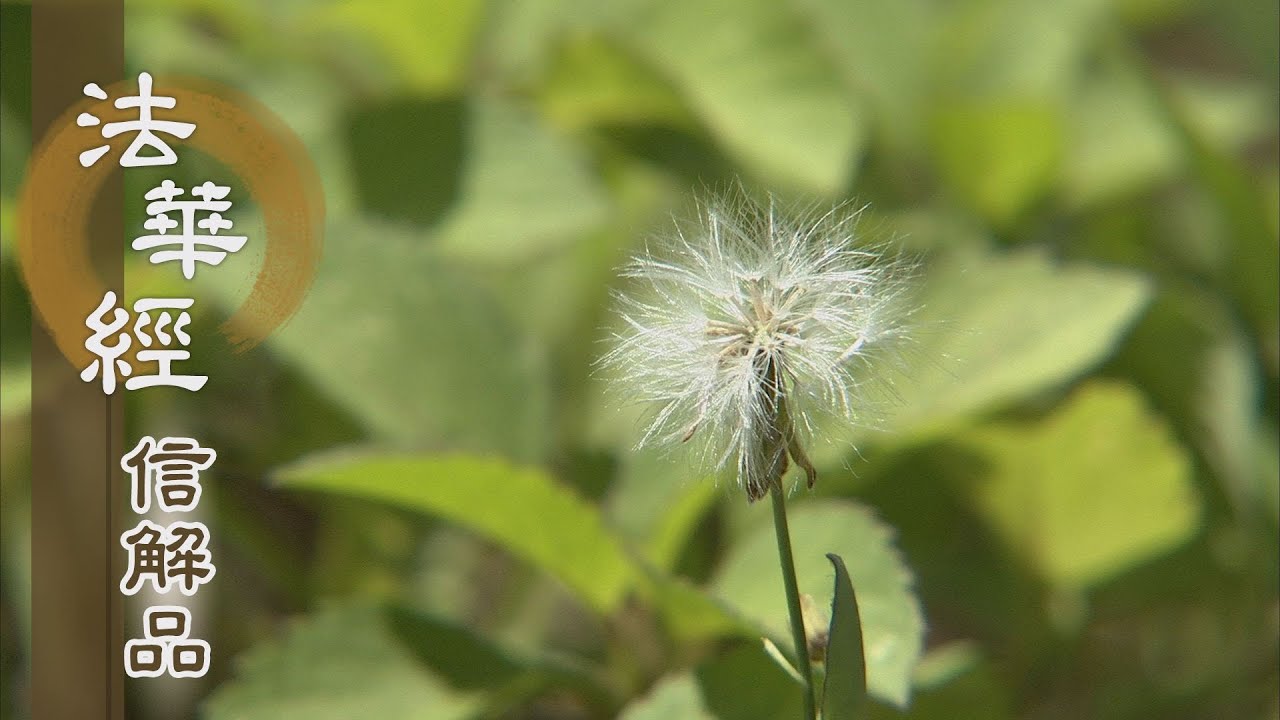 【靜思妙蓮華】法華經信解品 - 總持善法 化導眾生 - 20210621 第863集