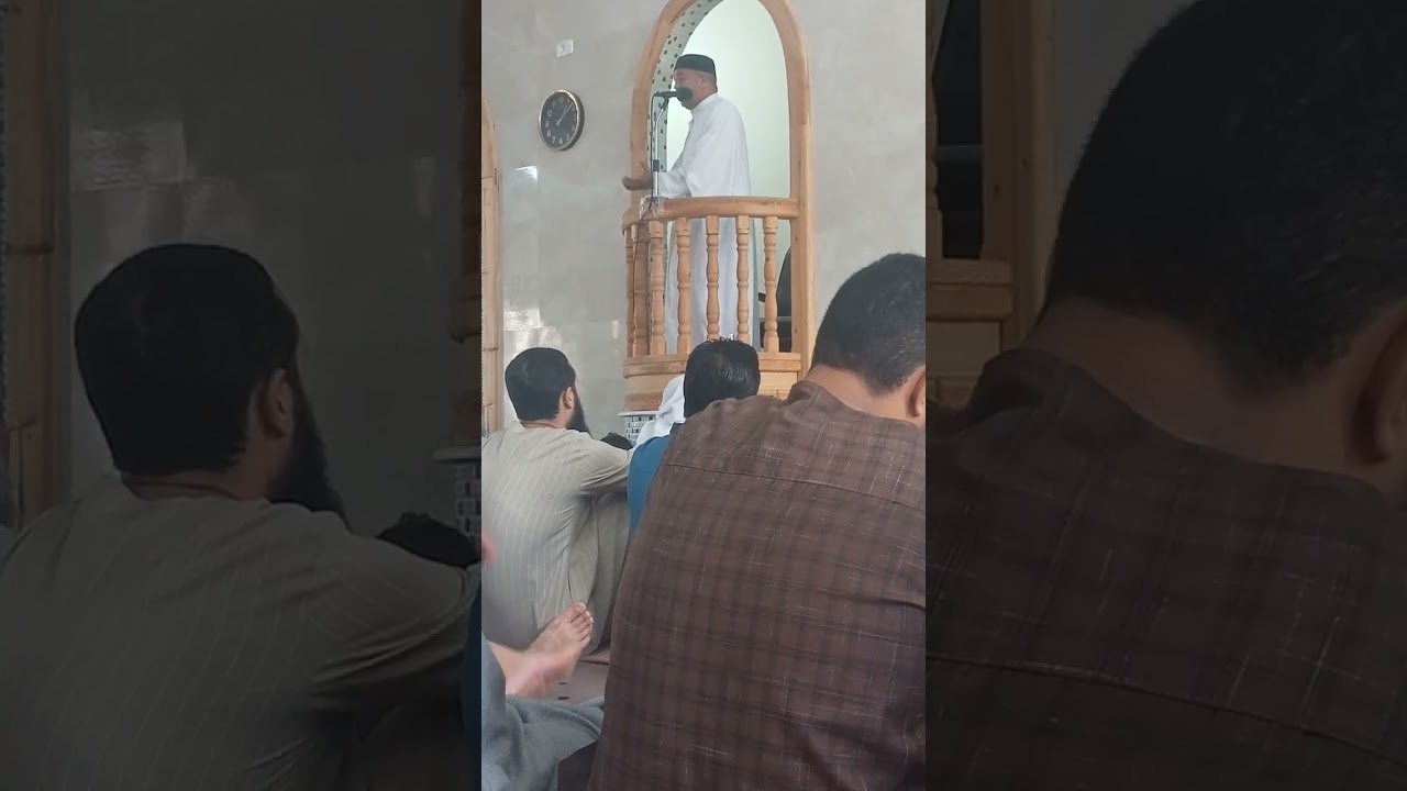 ١٢ نوفمبر ٢٠٢٥