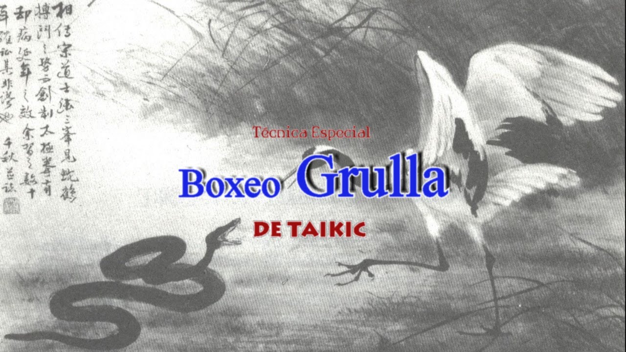 Técnica Especial de GRULLA de TAIKIC por Yee Seil