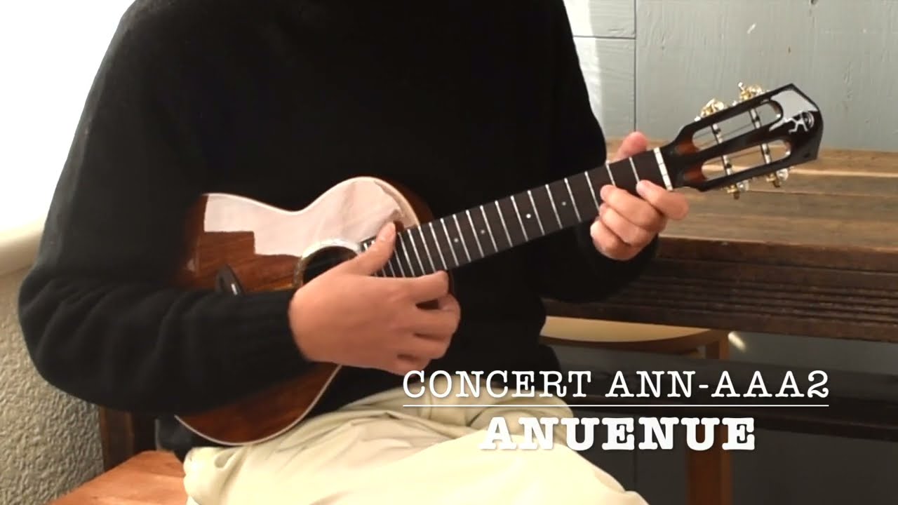 aNueNue Concert aNN-AAA2