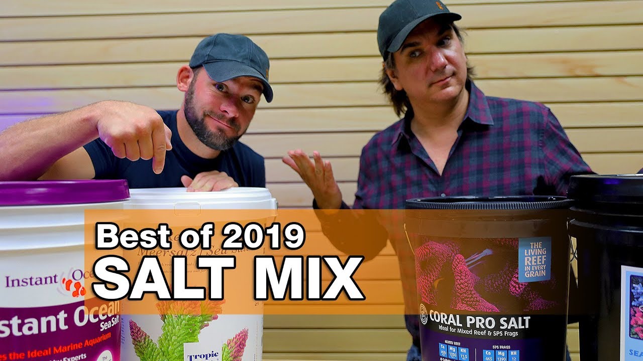 Which Salt Mix is the BEST for our saltwater tanks?! We share our picks for Best of 2019!
