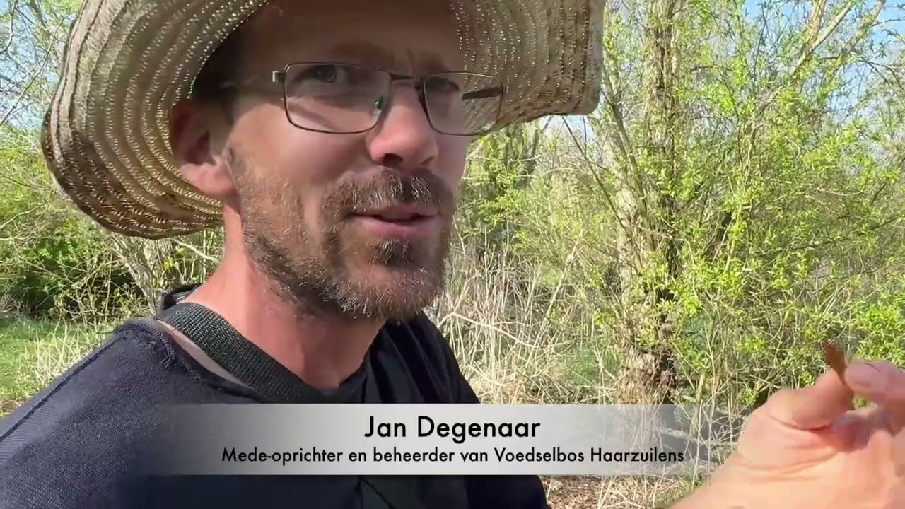 Insecten en broedvogels in voedselbos Haarzuilens De Levende Natuur