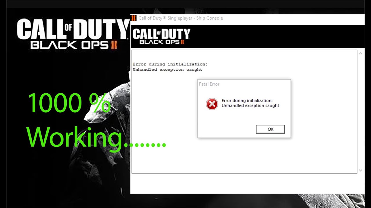 Working 2025- How To Fix Error During Initialization Unhandled exception in Call of duty Black Ops 2