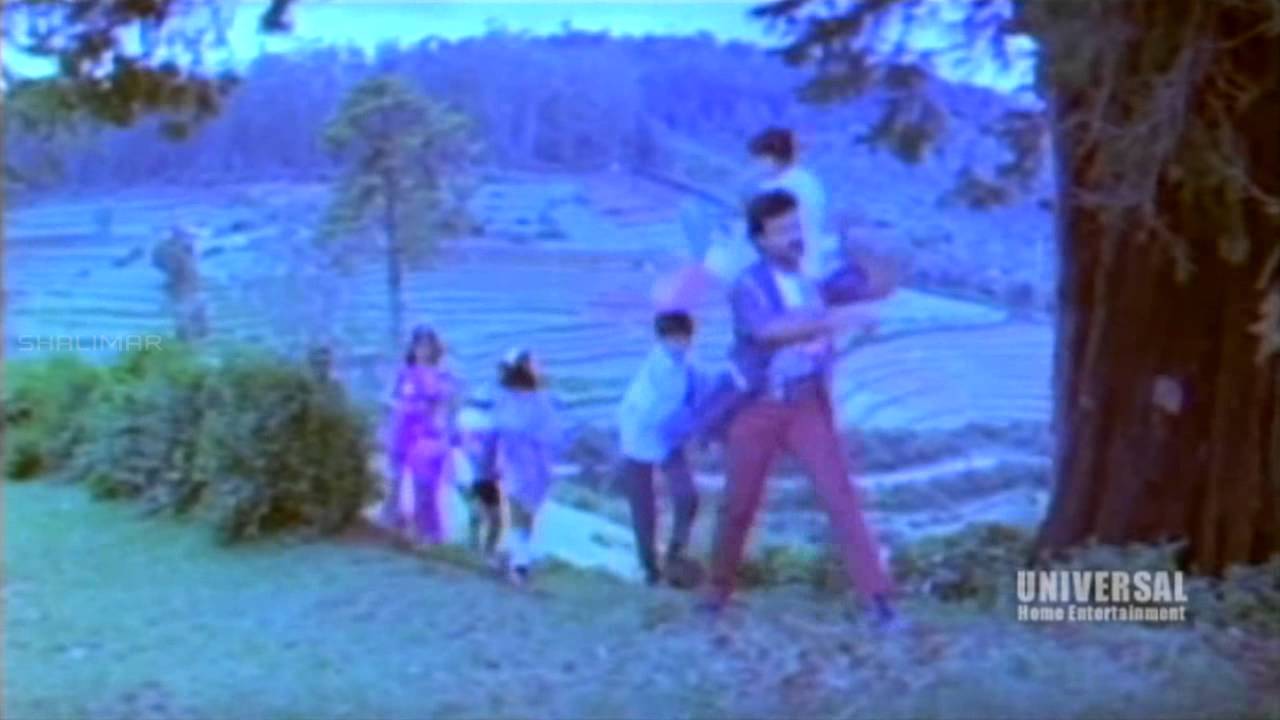 Jagadeka Veerudu Atiloka Sundari Movie Scenes | Chiranjeevi & Tourists Fearing Of Sri Devi