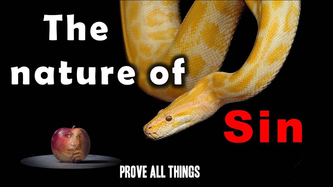 The Nature of Sin - Prove All Things 9