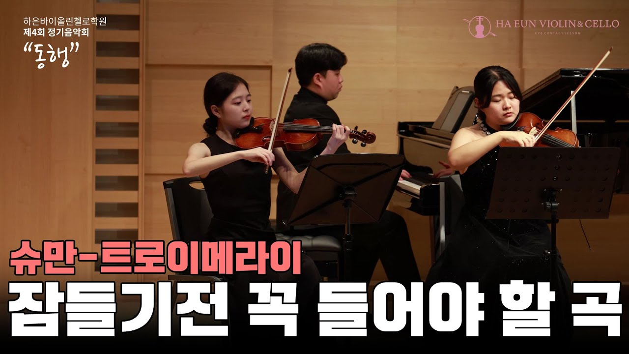 잠들기 전 꼭 들어야 할 클래식｜슈만 트로이메라이