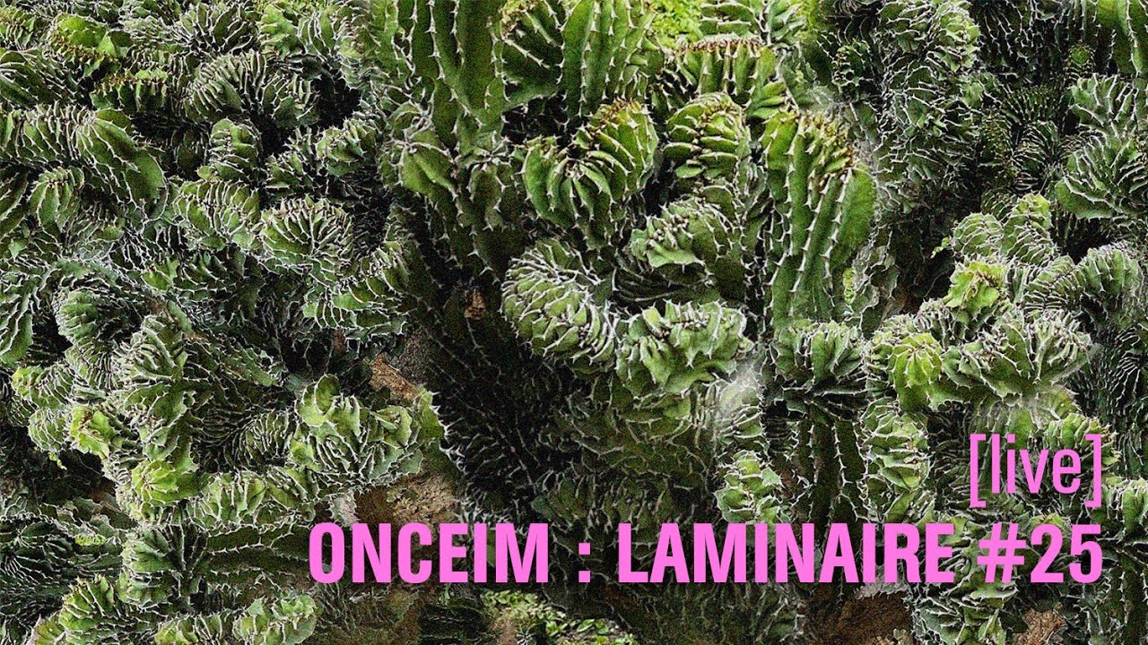 [LIVE] ONCEIM : LAMINAIRE #25