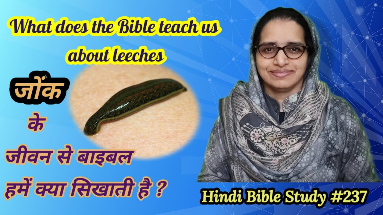 Hindi Bible Study #237 The leech has two daughters 'जोंक की दो बेटियों' का क्या मतलब है ?