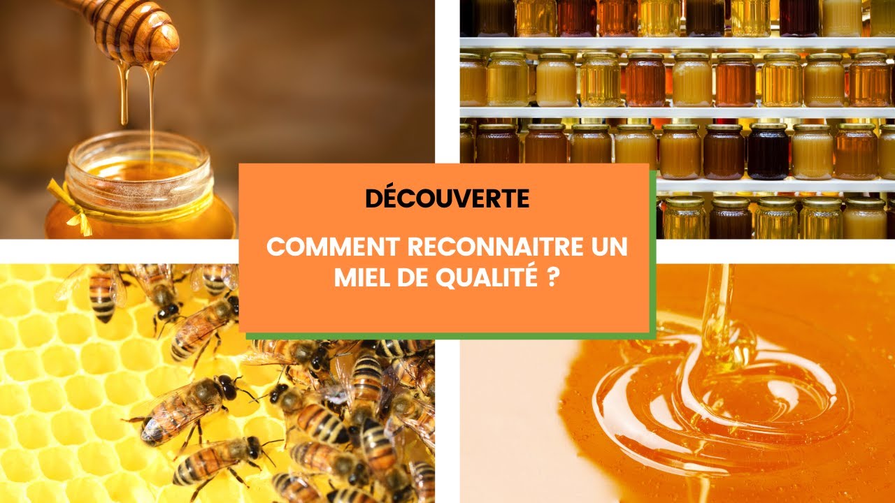 Découverte : Comment reconnaitre un miel de qualité ?