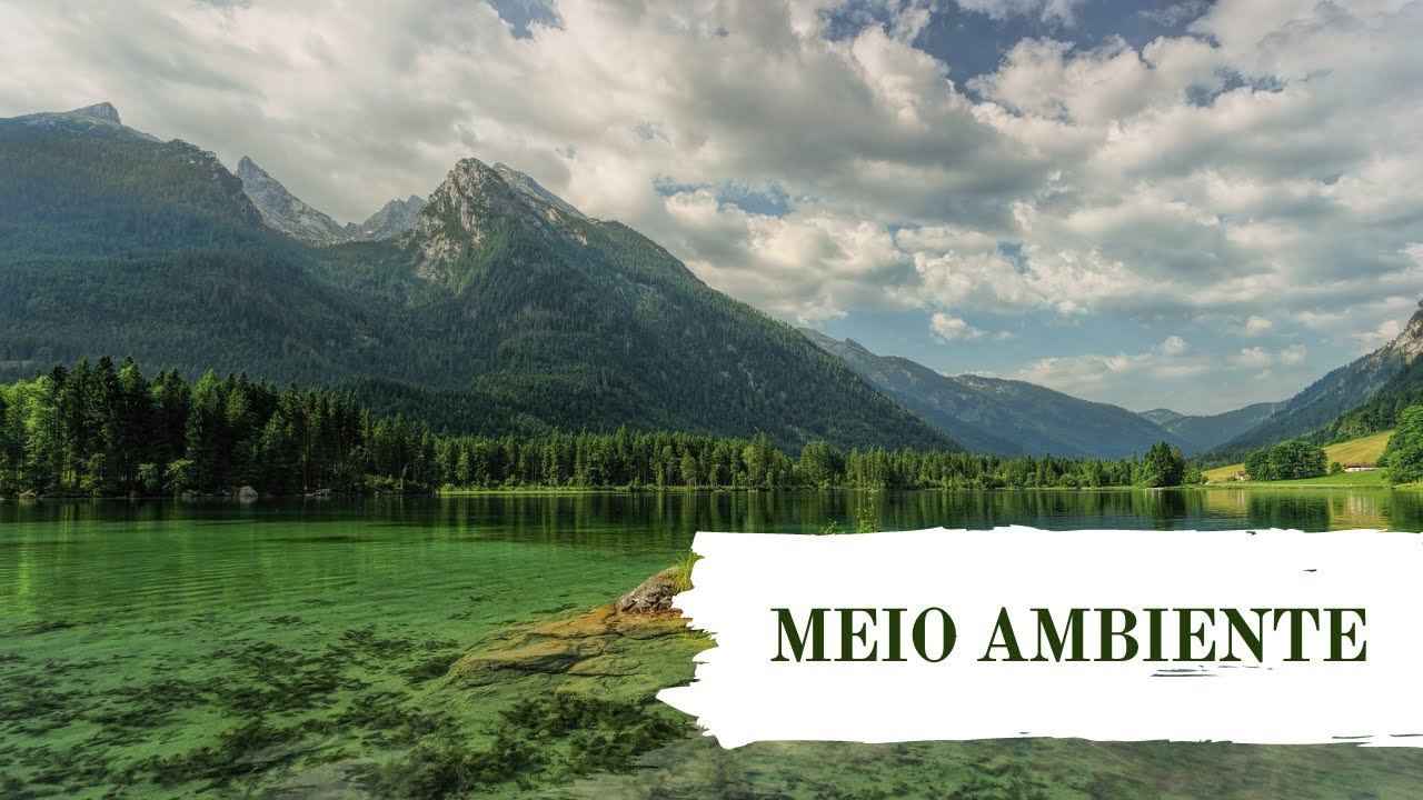 O QUE &Eacute; MEIO AMBIENTE