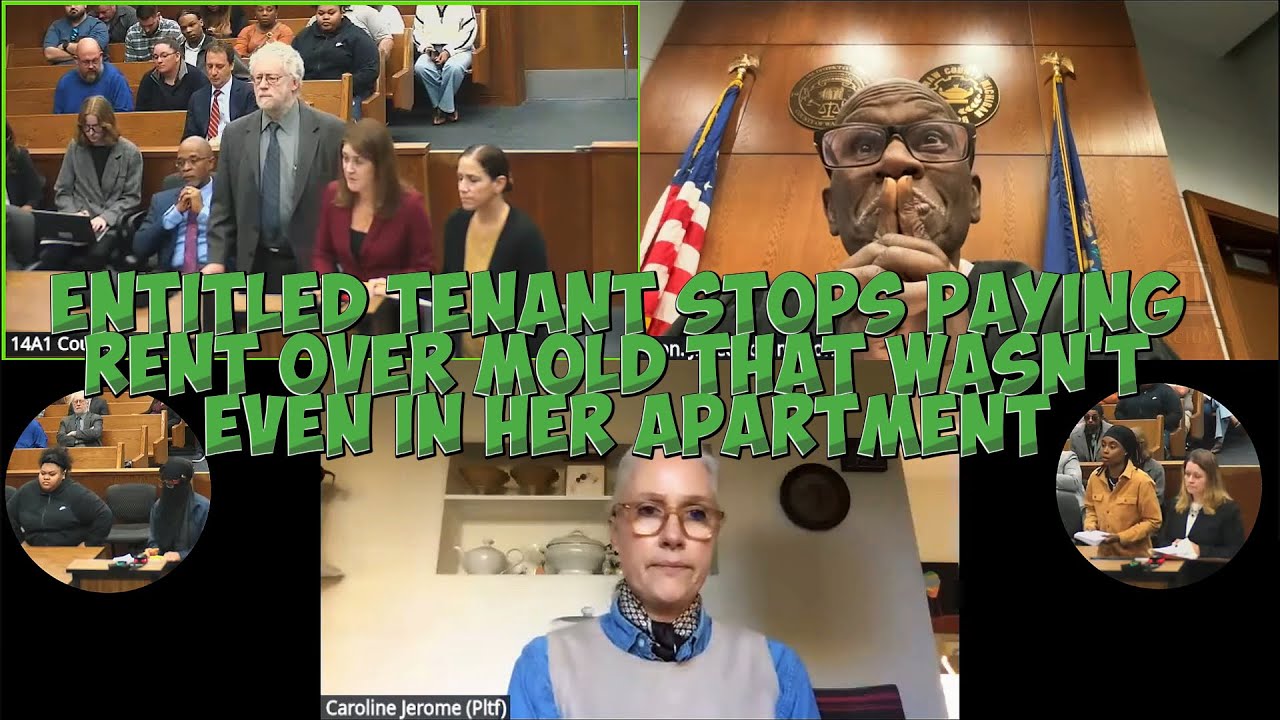 Tenant Claims BLACK MOLD Justifies Not Paying Rent - But There's a HUGE Problem