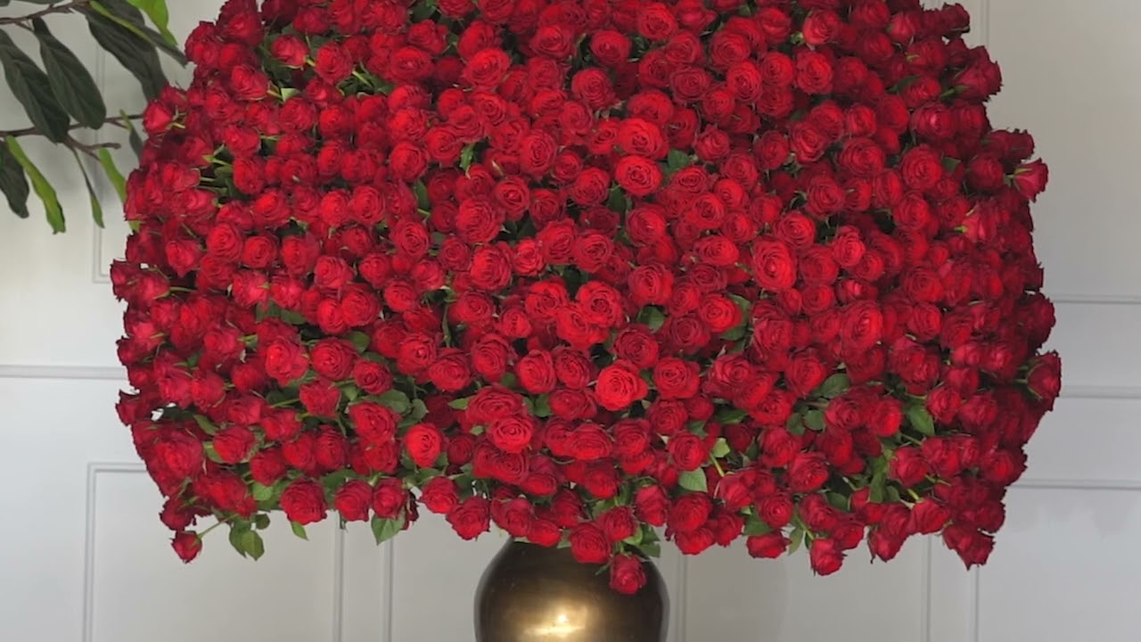 2,000 Stems of Roses - Darcey Flowers