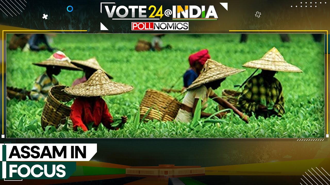 India Elections 2024: What Assam wants from India's new government? | India News | WION