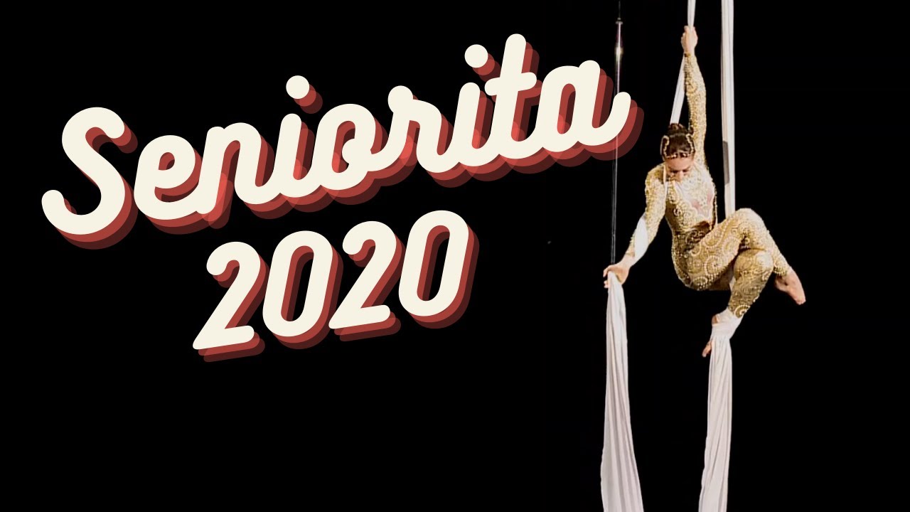 Taniec na szarfie- AERIAL SILKS I MP2020
