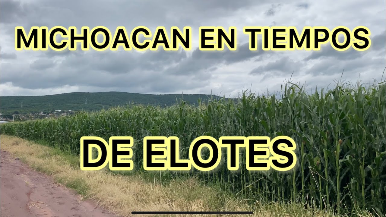 ISAAC ARRIAGA MICHOACÁN