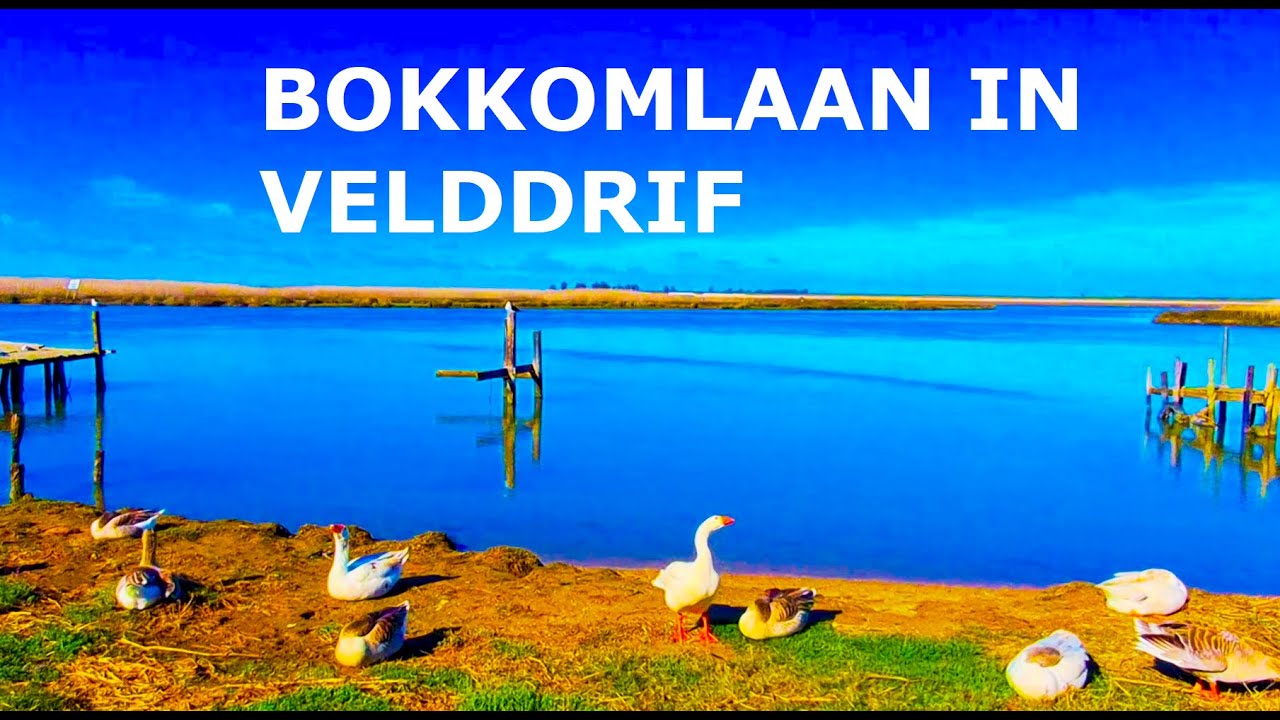 Bokkomlaan in Velddrif - West Coast Splendour - Weskus se Mooi