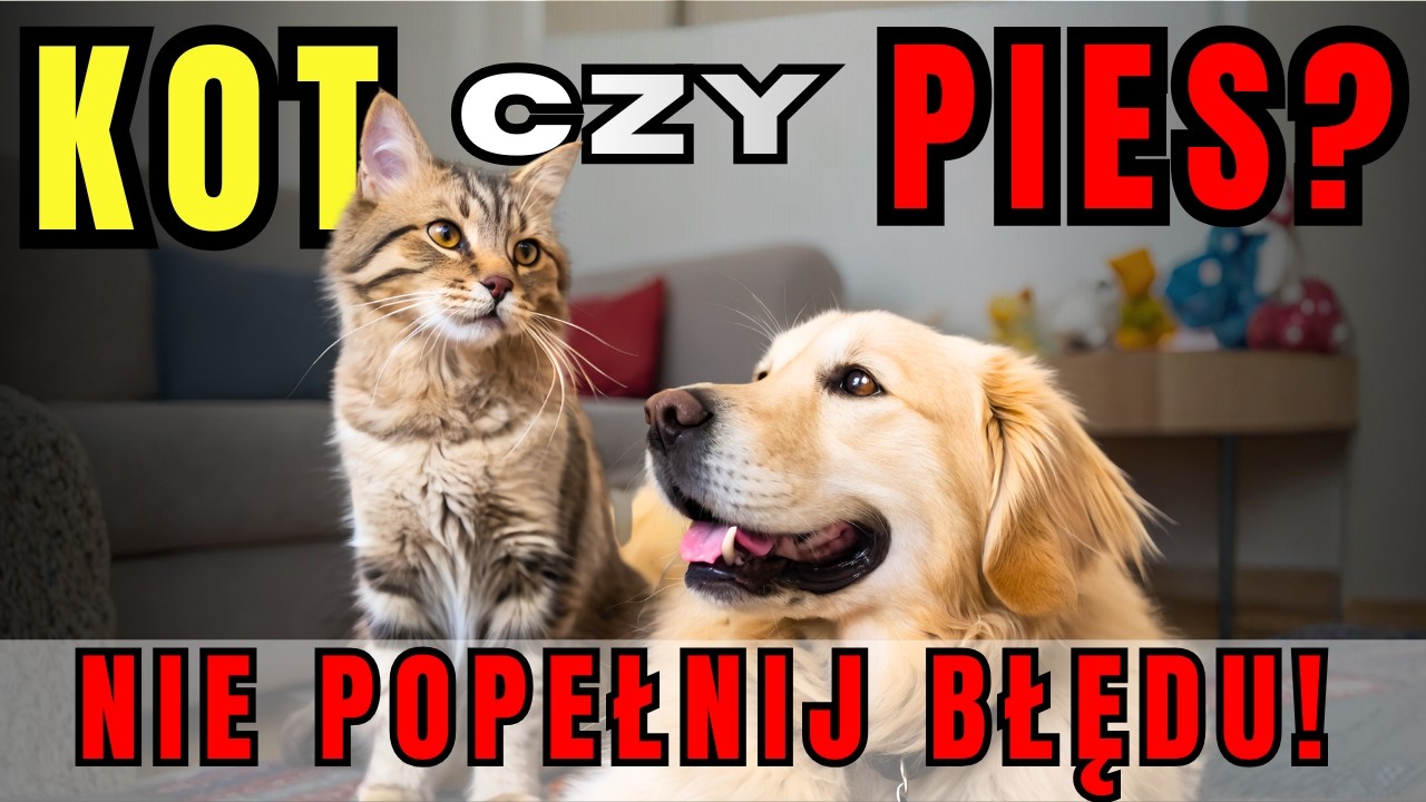 Kot Czy Pies? 5 Faktów, Które ZMIENIĄ Twoją Decyzję!