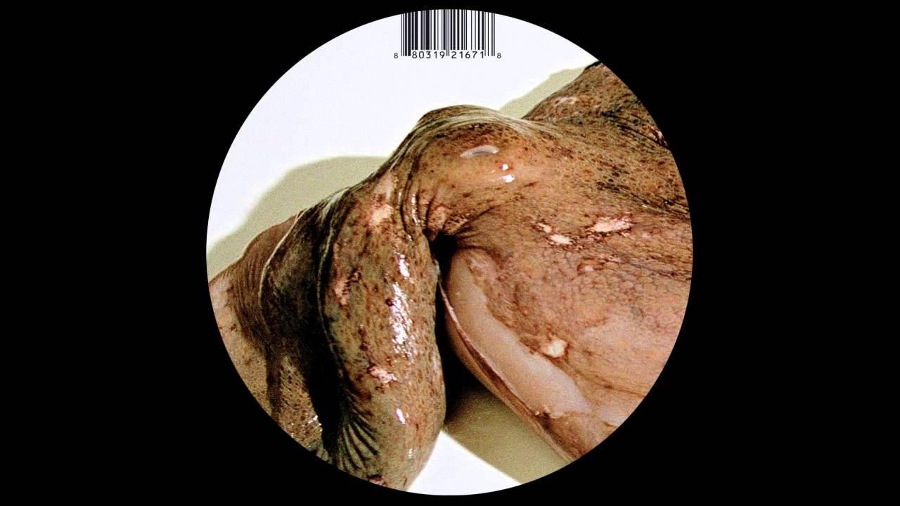 Bond & Blome - La Sepia - Sender Records