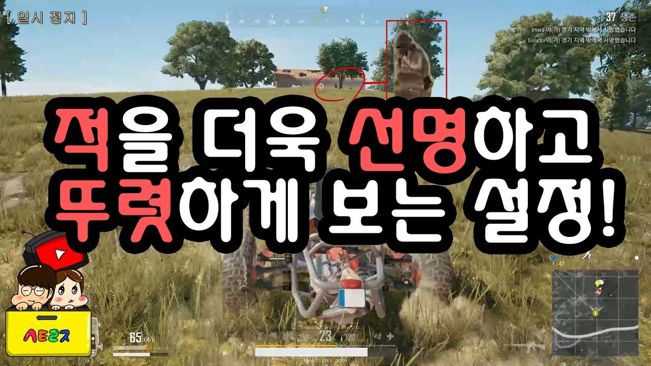 배그 설정만으로 적을 선명하게 보기! FPS 드랍 대비 고효율 설정 [스토리지TV]