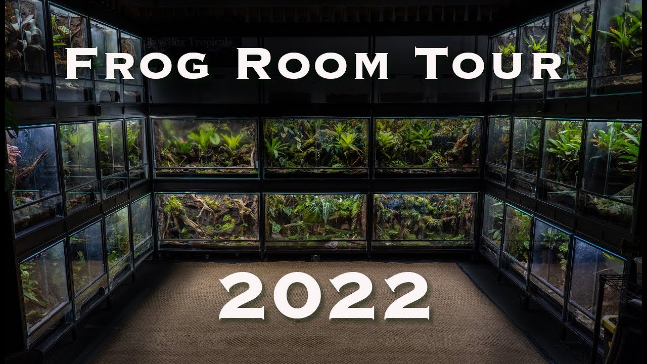 Тур Frog Room 2022! Новая система стоек уже построена!
