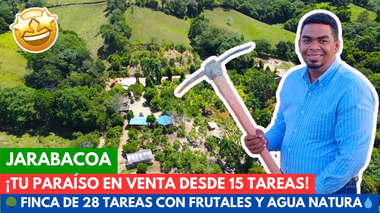 🌳JARABACOA | FINCA EN VENTA | AMPLIA VARIEDAD DE FRUTOS | AGUA NATURAL | 28 TAREA D TIERRA | PARAISO