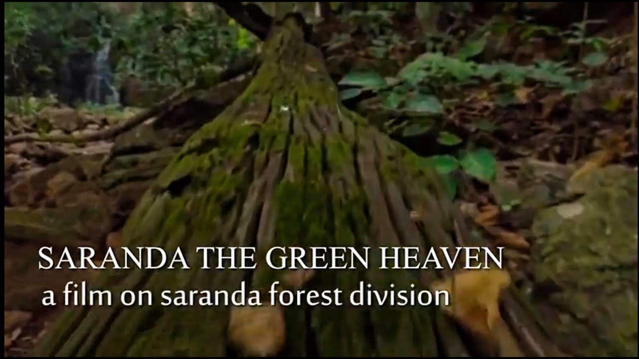 SARANDA THE GREEN HEAVEN