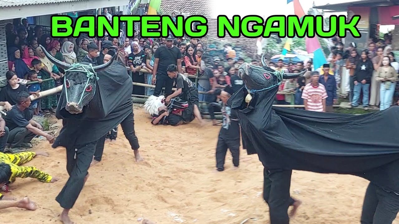 Bantengan Ngamuk Kuda Budaya Live Mojokembang Pacet Mojokerto