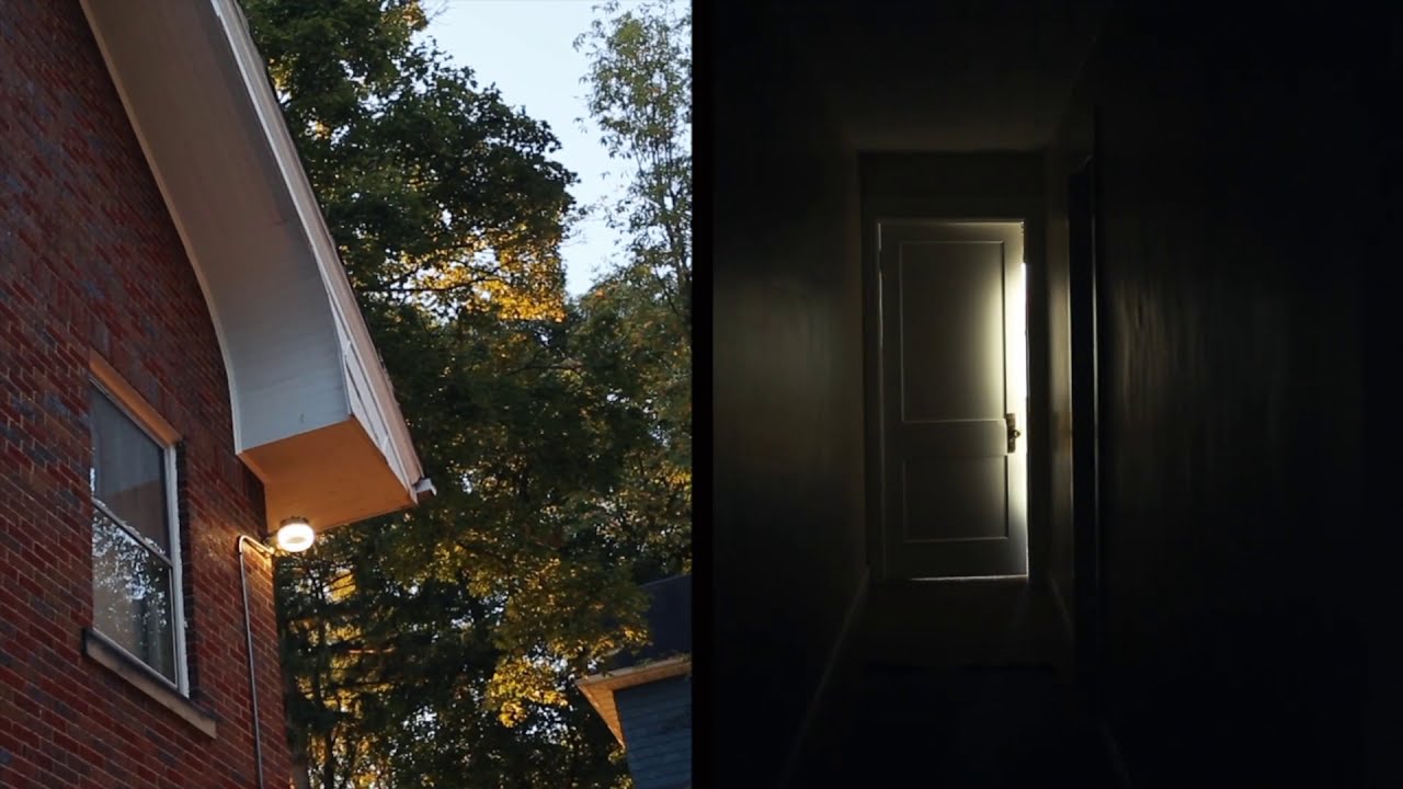 Todd Zack Jr. - Evergreen (Official Video)