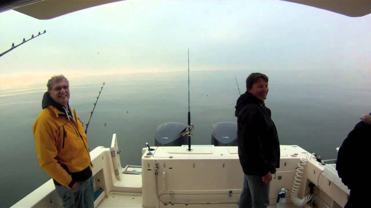 pesca al tonno rosso in drifting, team Sea Baby. Taggato e rilasciato