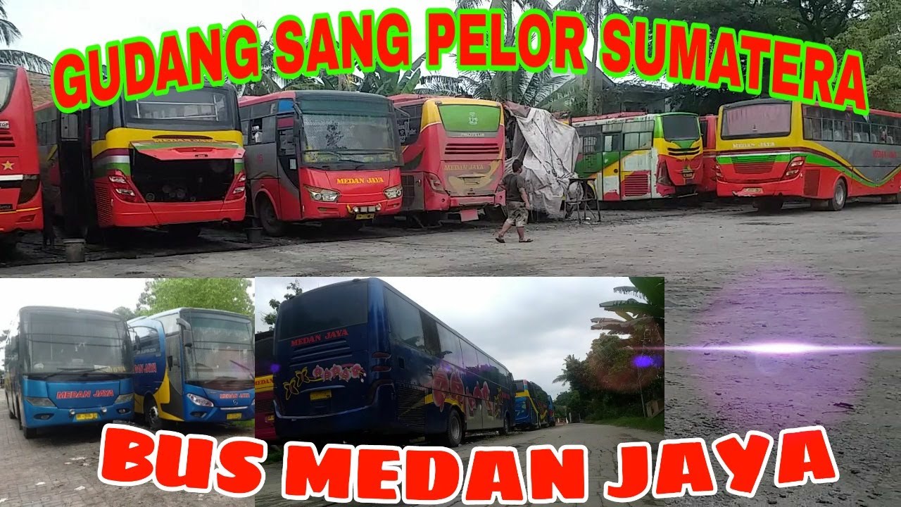 GUDANG BUS MEDAN JAYA||BUS SANG PELORNYA SUMATERA
