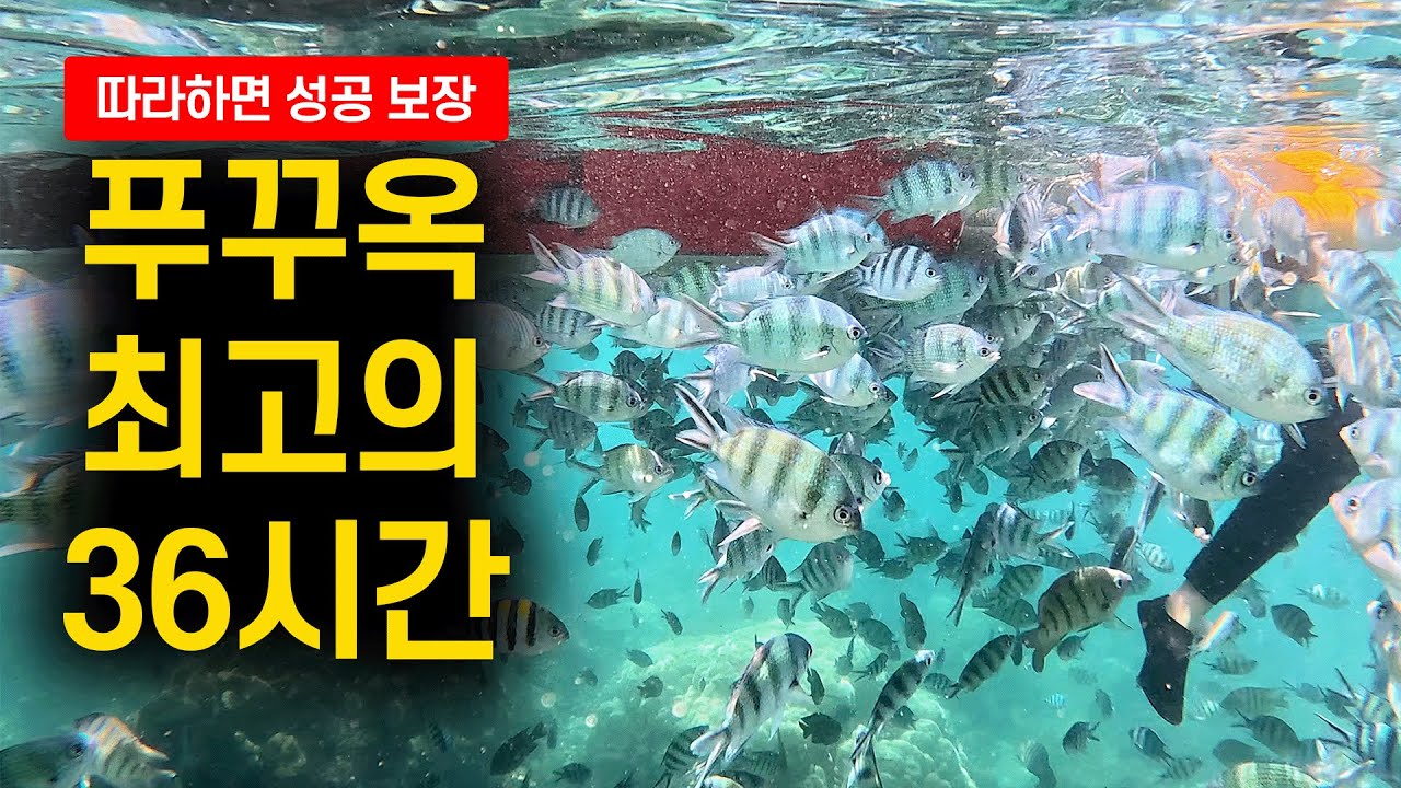 🇻🇳 최고의 36시간 푸꾸옥 여행코스를 알려드림