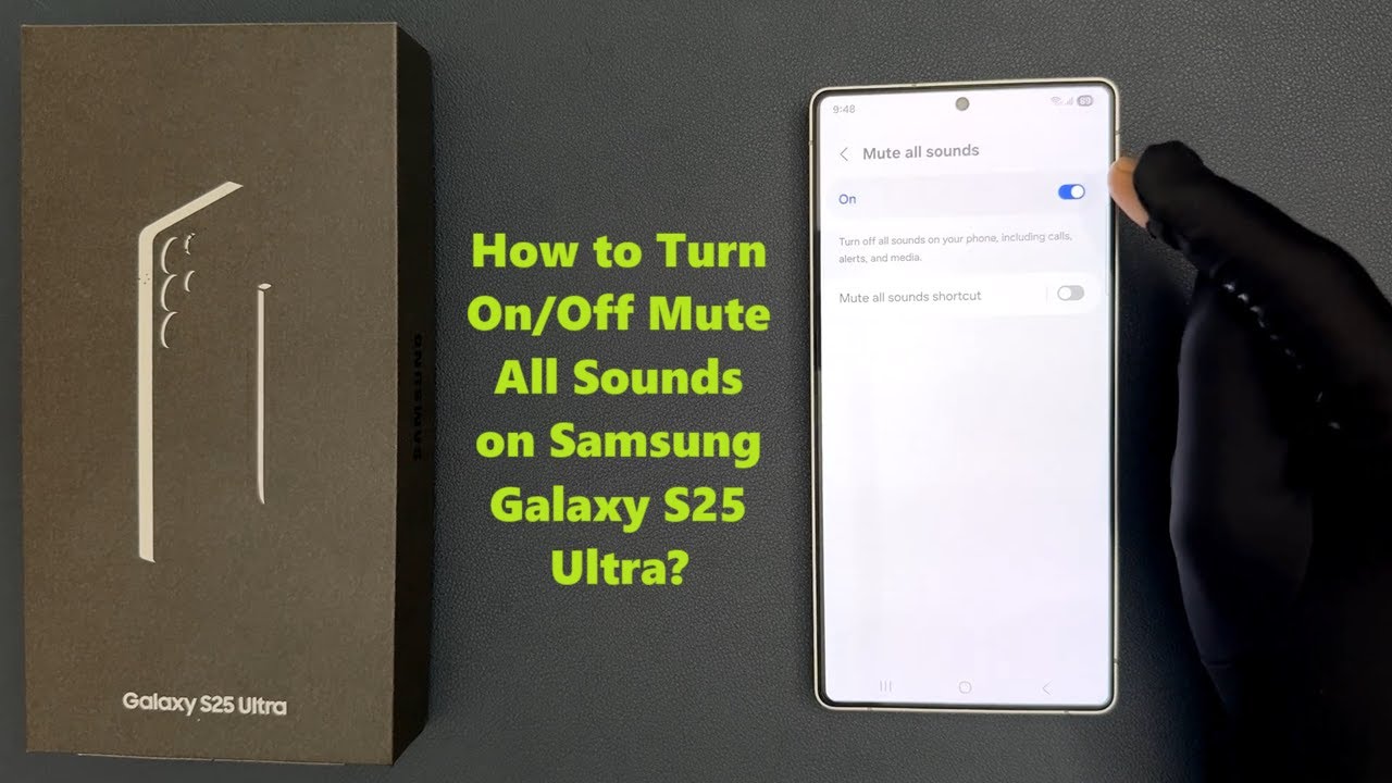 How to Turn On/Off Mute All Sounds on Samsung Galaxy S25 Ultra?
