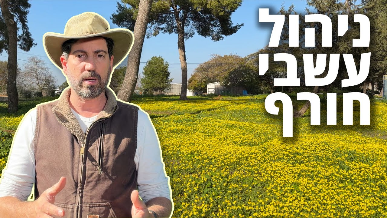 איך לטפל בעשביית חורף בלי להרוס את הקרקע