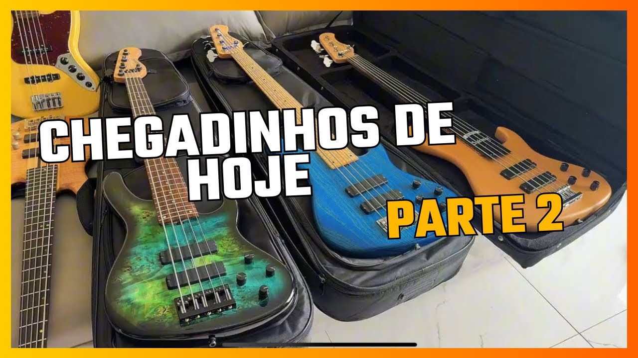 Segundo vídeo demostrando alguns baixos que chegaram e vão ser enviados para seus novos donos 