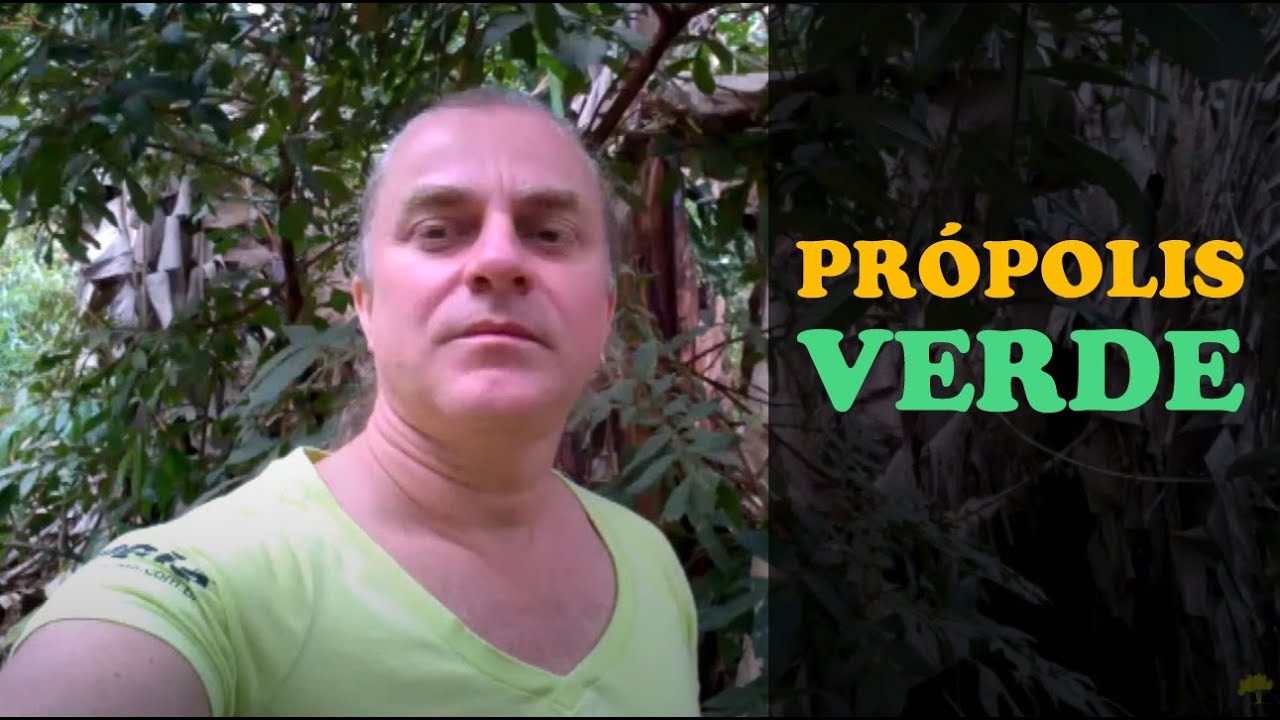 Própolis VERDE do ALECRIM DO CAMPO e os CUIDADOS com as AVES - Tratando aves doentes! PODER de CURA!