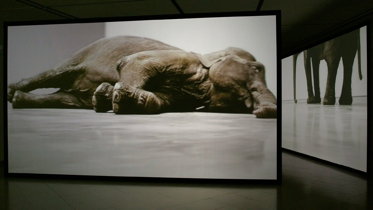 Ausstellungsfilm: Douglas Gordon