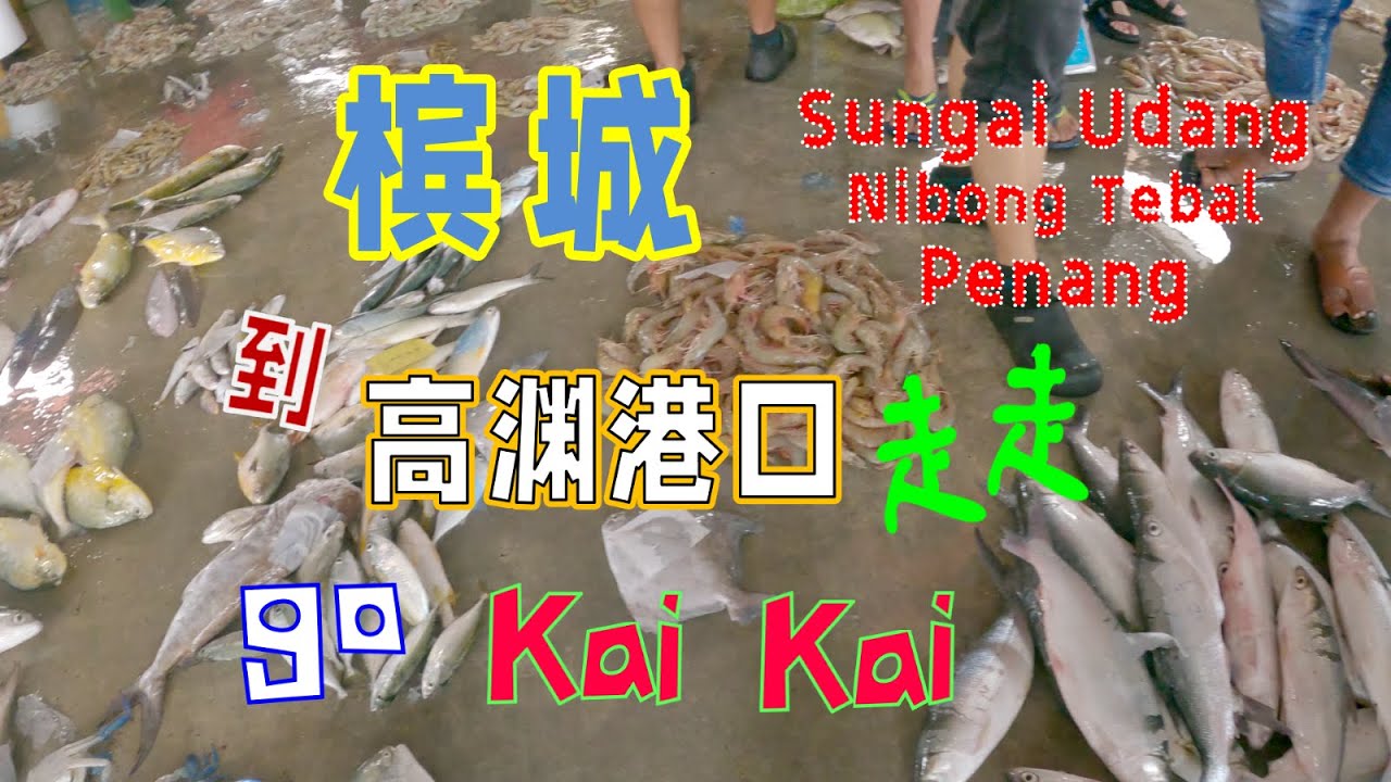 Penang 4K, Road to Nibong Tebal fishing village (Sungai Udang) part4. 槟城高渊港口走一走.