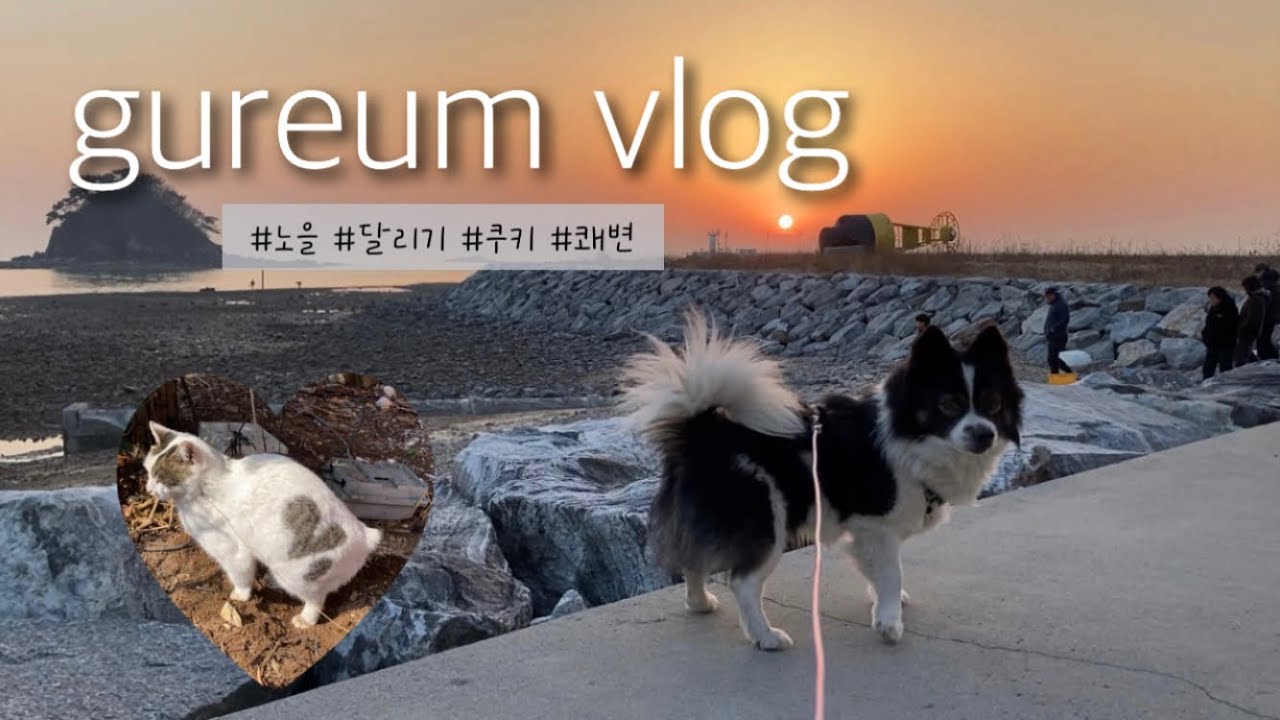 구름이랑 산책하기☁️🐶 | 초스피드 노을 보고 오기🌅 | 쿠키 응가💩