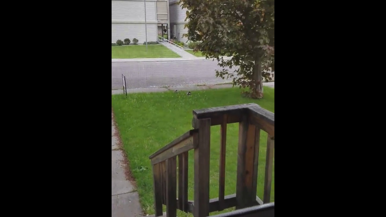 818 Ave D (West End) Billings, MT 59102