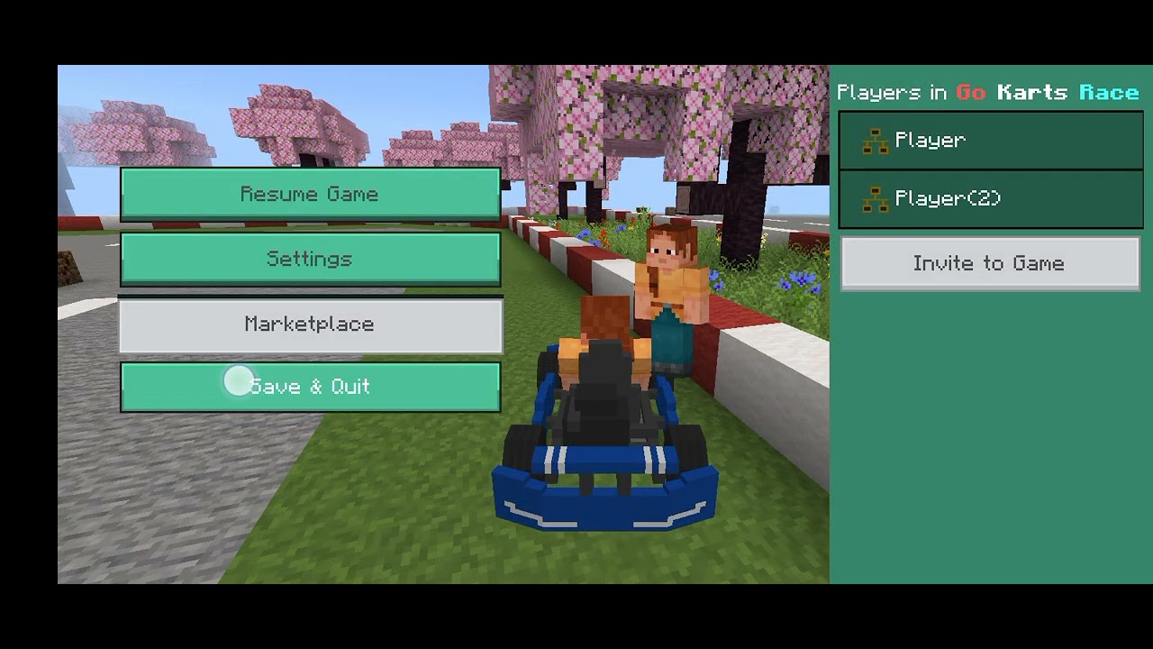Go krting on Minecraft race🚙🚙