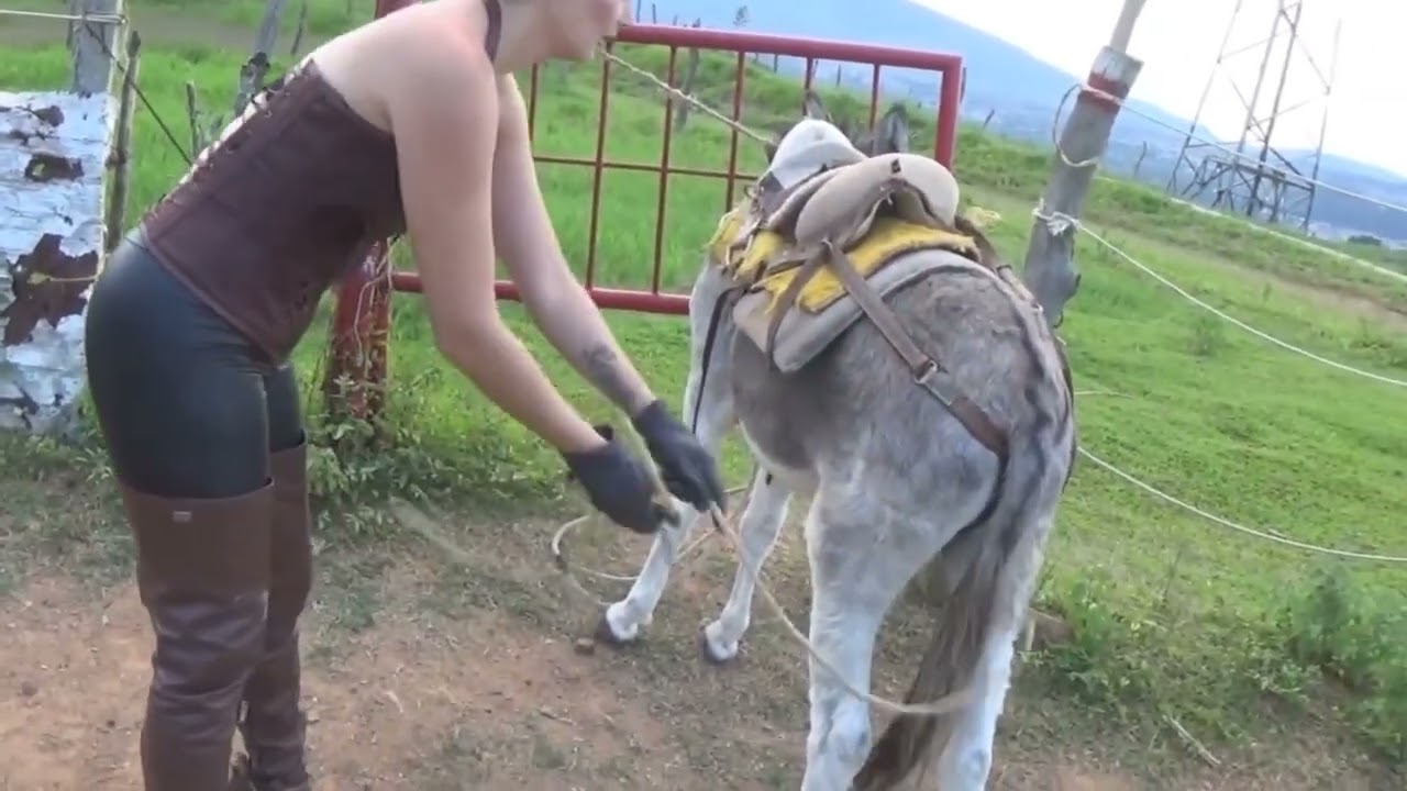 Cruel Riding Video. Cruel Horse Riding. Cruel Donkey Riding. Hard Riding Video. 