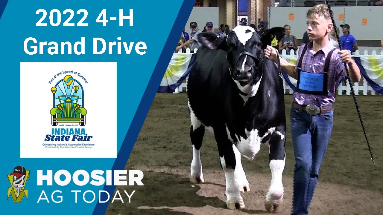 The Grand Champion Exhibitors of the 2022 Indiana State Fair 4-H Grand Drive